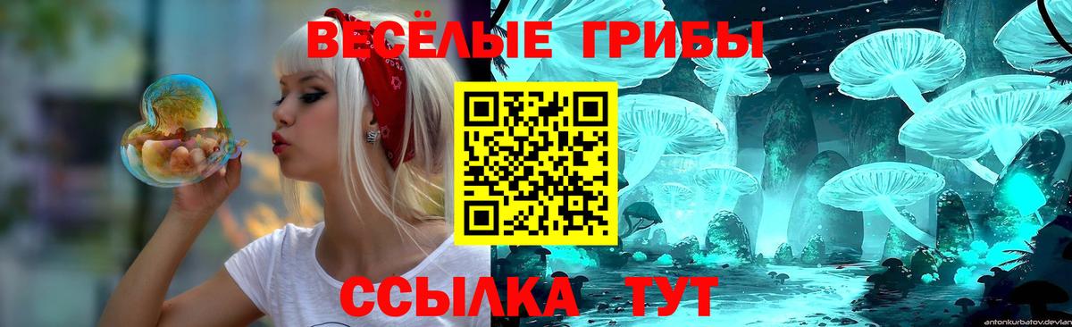 Псилоцибиновые грибы мицелий  хочу   Вход с VPN  Ульяновск  Псилоцибиновые грибы Magic Shrooms 